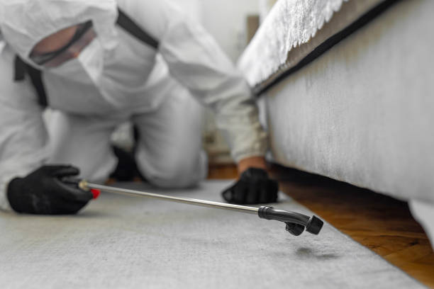 Professional Bed Bug Control technician working in Washington Heights, NY