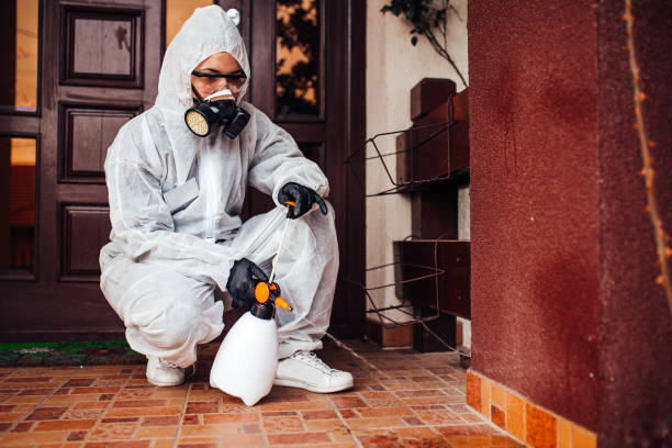 Reliable Bed Bug Control contractor in Washington Heights, NY by Nex Pest Control