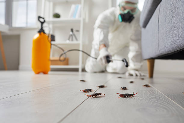 Trusted Emergency Pest Control service in Washington Heights, NY - Nex Pest Control